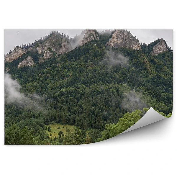 Okleina na ścianę Trzy korony we mgle pieniny szczyt górski