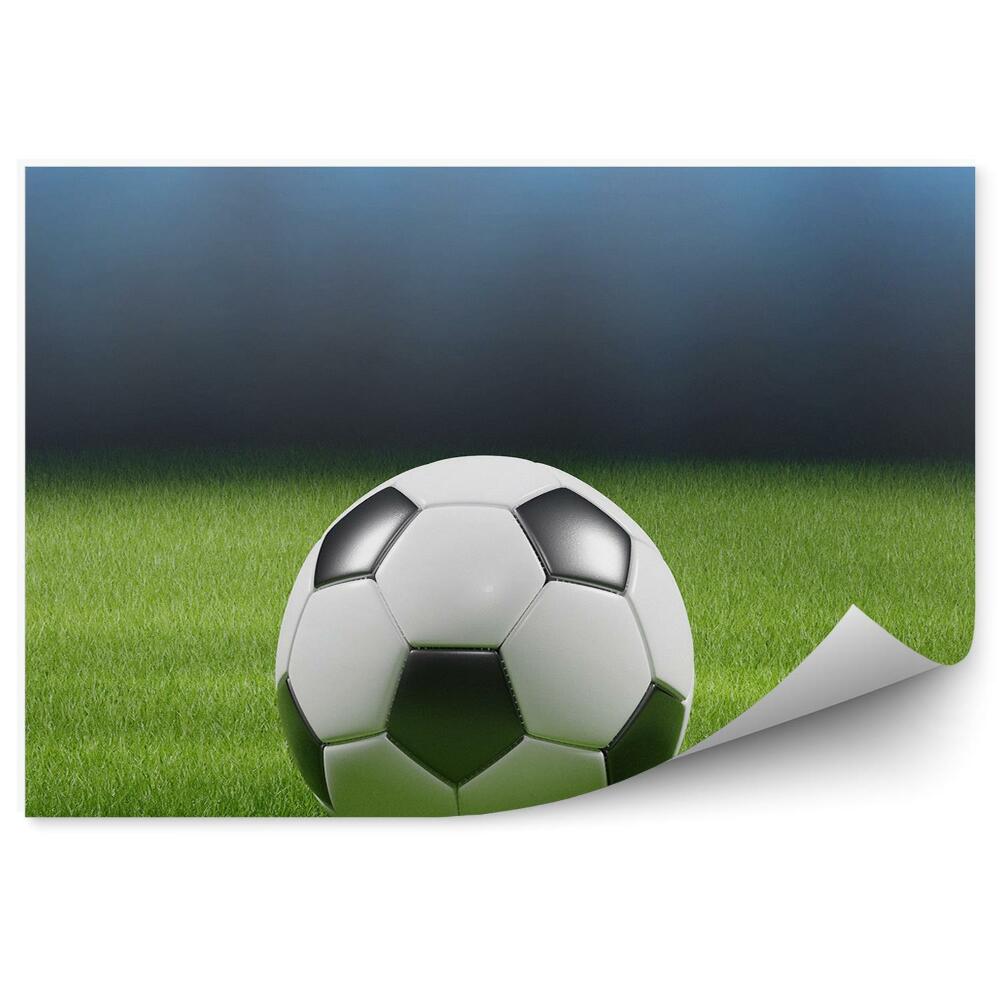 Fototapeta na ścianę Piłka nożna murawa trawa światła