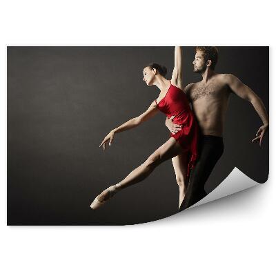 Fototapeta samoprzylepna Tancerka klasyczna baletki