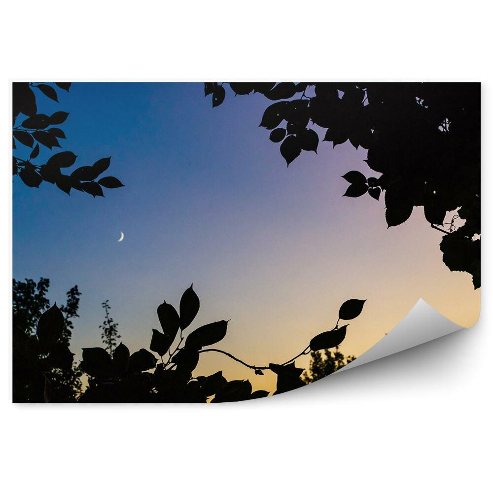 Okleina ścienna Zachód słońca liście