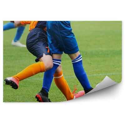 Fototapeta na ścianę Piłkarze murawa piłka nożna
