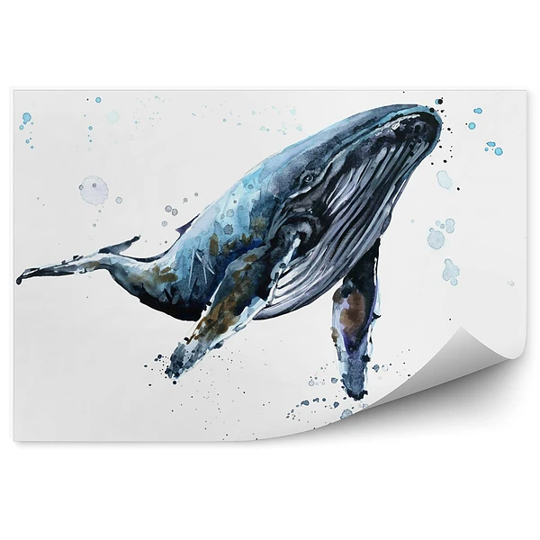 Fototapeta Humbak wieloryb