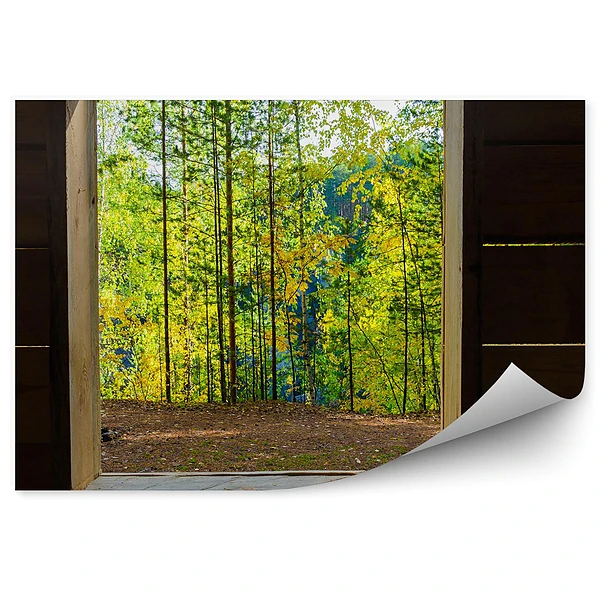 Fototapeta Drewniany domek w środku lasu drzewa zieleń