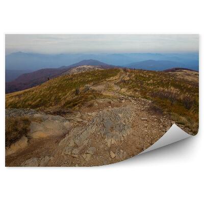 Okleina na ścianę Góry ścieżka trasa kamienie roślinność jesień