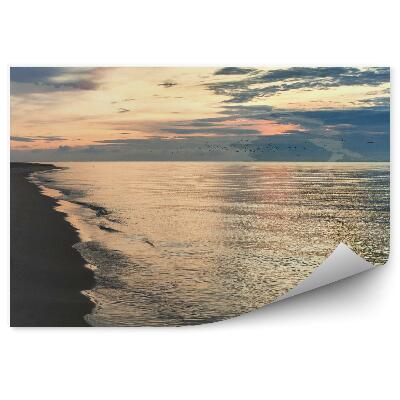 Okleina na ścianę Stado ptaków nad morzem piasek brzeg