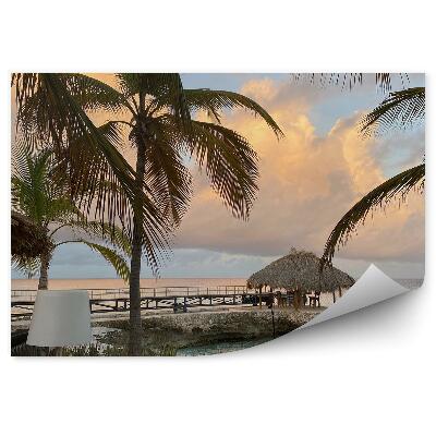 Okleina na ścianę Pochmurne niebo palmy natura kawiarnia przy morzu