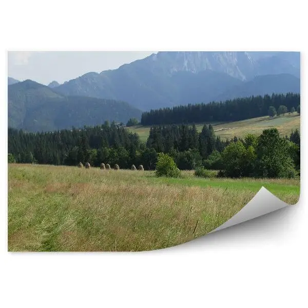 Okleina na ścianę Giewont góry drzewa iglaste łąka niebo chmury