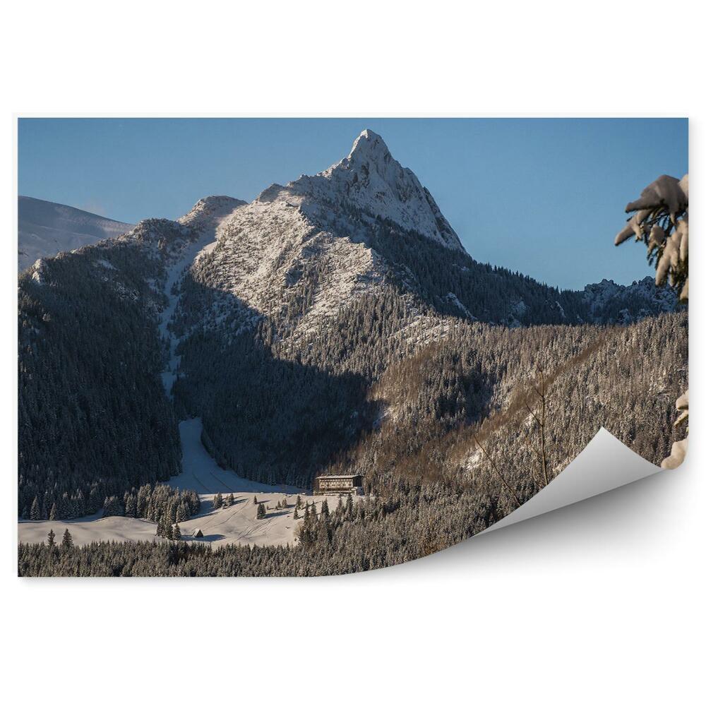 Okleina na ścianę Giewont tatry góry drzewa iglaste zima śnieg