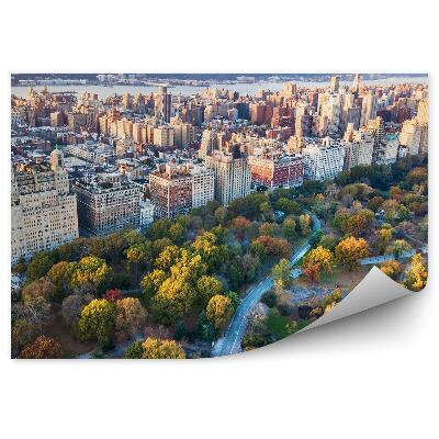 Okleina na ścianę Miasto architektura drzewa park jesień