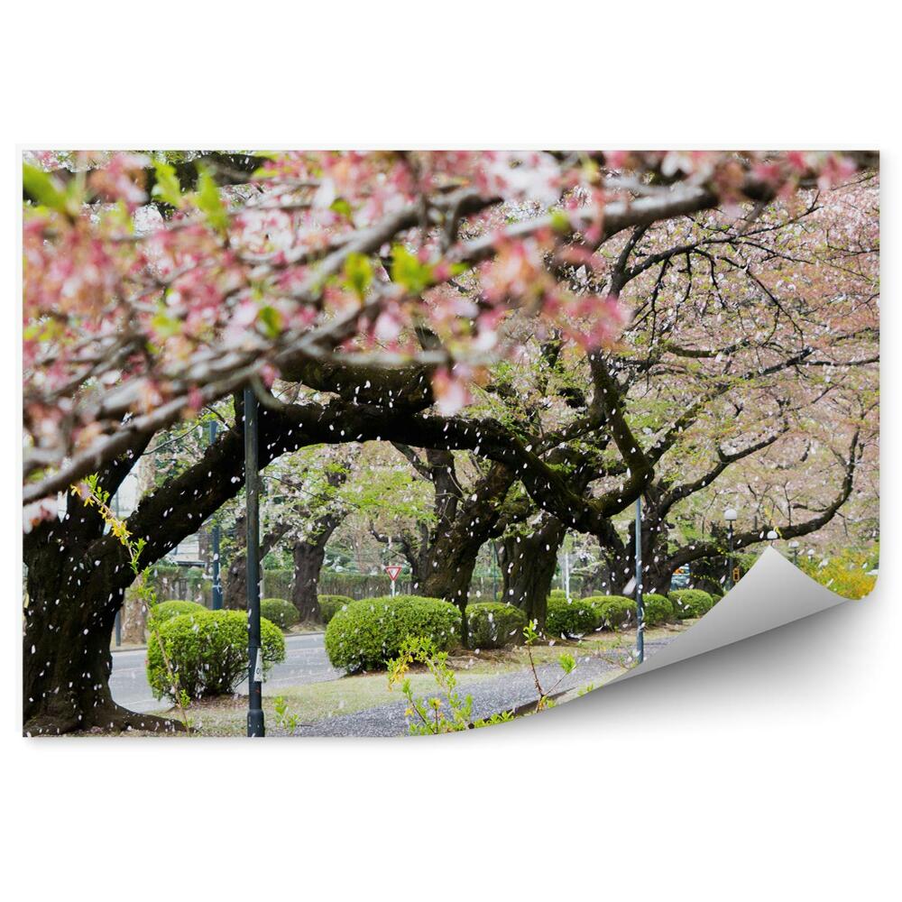 Okleina na ścianę kwiat wiśni drzewa krzaki trawa droga zima śnieg