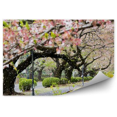 Okleina na ścianę kwiat wiśni drzewa krzaki trawa droga zima śnieg