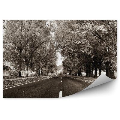 Okleina na ścianę Droga wieś drzewa roślinność