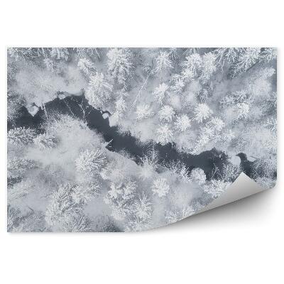 Fototapeta Zimowy las rzeka widok