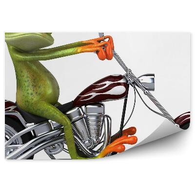 Fototapeta na ścianę Żaba na chopperze