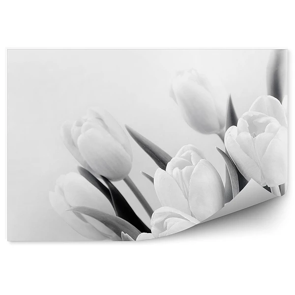 Fototapeta na ścianę Kwiaty tulipanów wzór sepia