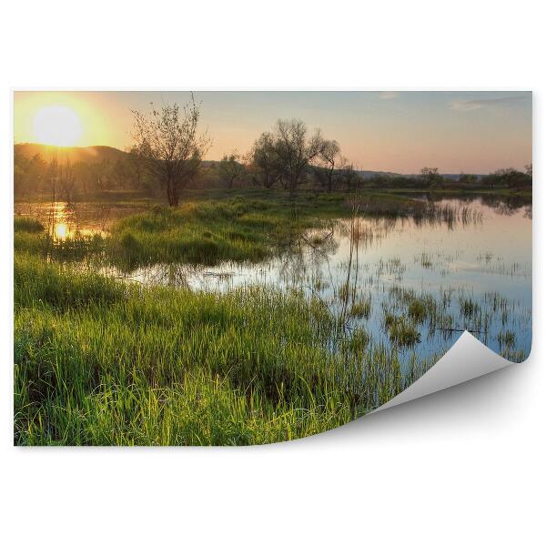 Fototapeta Staw drzewa rośliny trawy zachód słońca niebo chmury