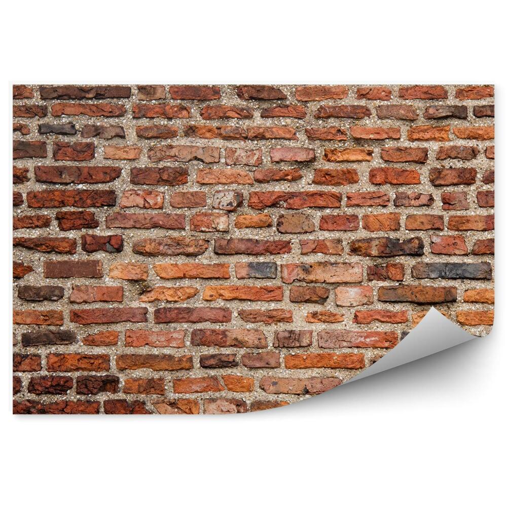 Fototapeta samoprzylepna Postarzały mur ceglany