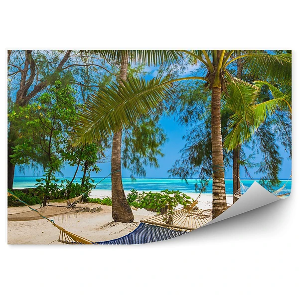 Fototapeta Hamaki plaża palmy ocean krzaki tanzania
