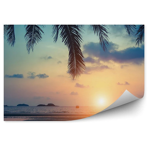 Fototapeta Tropikalna plaża morze statki palmy skały niebo chmury
