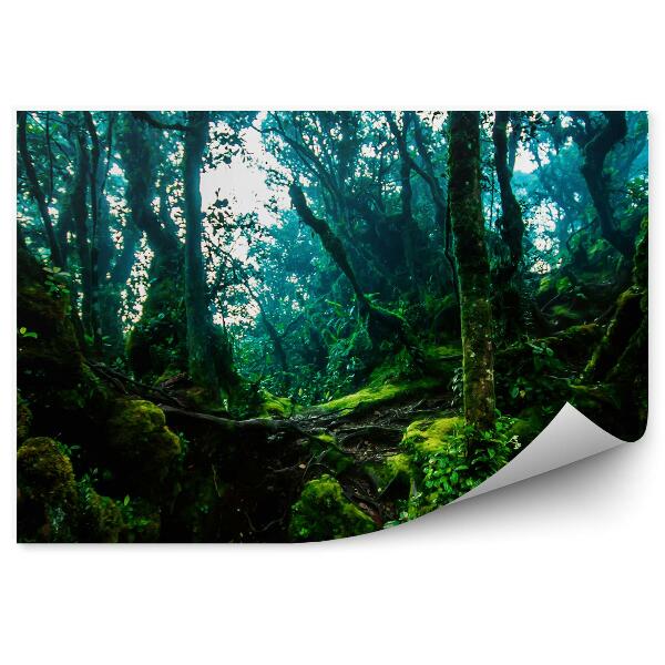 Okleina ścienna Dżungla szlak grube zielone drzewa