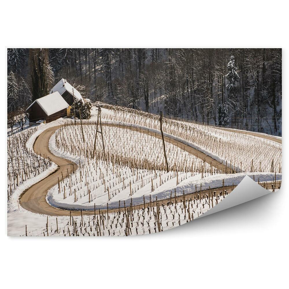 Fotopeta Zima śnieg droga kształt serca natura