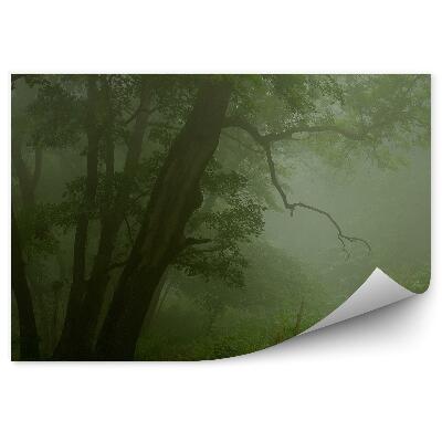 Okleina ścienna Mglisty las