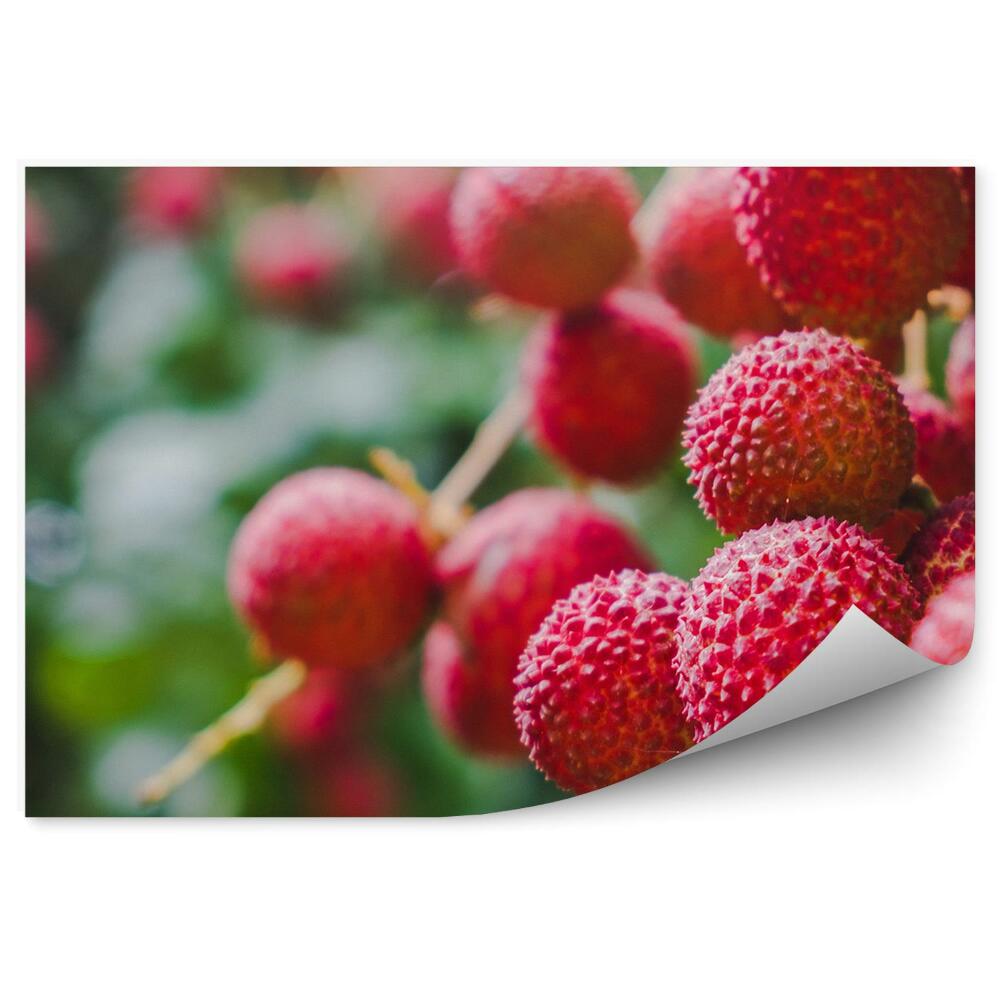 Fototapeta Czerwony owoc liczi drzewo liście