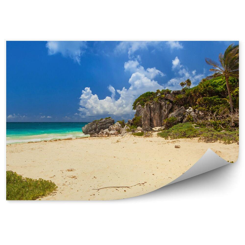 Okleina ścienna Karaiby plaża klif natura palmy