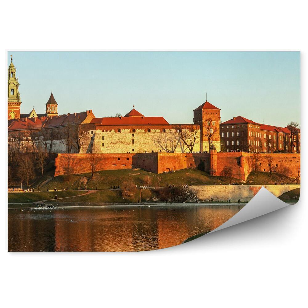 Fototapeta na ścianę widok z lotu ptaka Wisła Kraków łodzie rośliny
