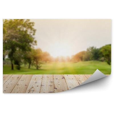 Okleina ścienna Drewniany taras drzewa rośliny trawa zachód słońca