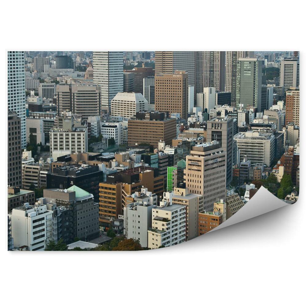 Okleina na ścianę wieżowce drzewa Tokio