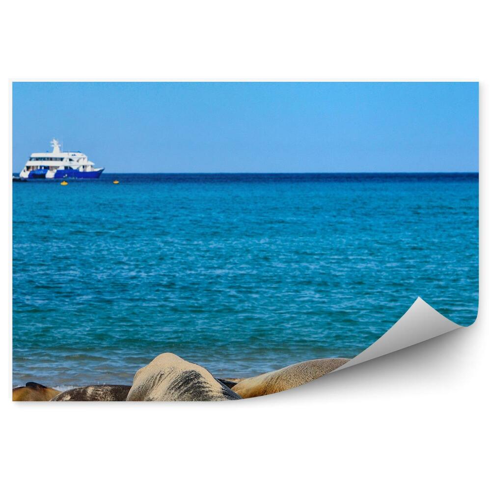 Okleina ścienna Wyspa żółwi lwy morskie morze jacht niebo plaża