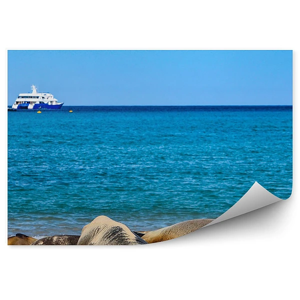 Okleina ścienna Wyspa żółwi lwy morskie morze jacht niebo plaża