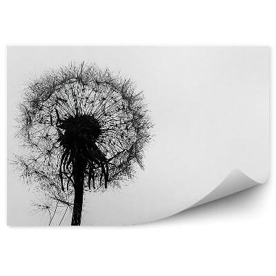 Fototapeta na ścianę Krople wody dmuchawiec