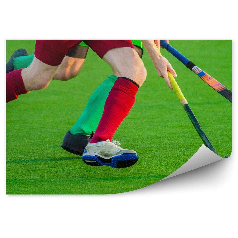 Fototapeta samoprzylepna Hokej na trawie boisko