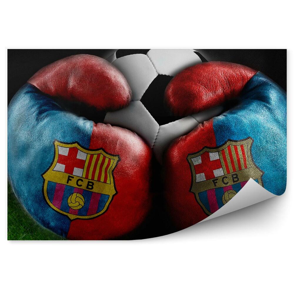 Fototapeta na ścianę Boks i piłka nożna fc barcelona murawa