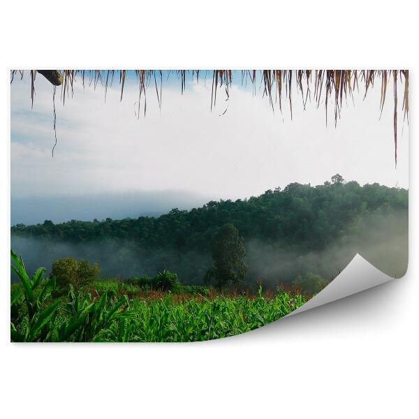 Fototapeta na ścianę Las we mgle korony drzew widok z domku