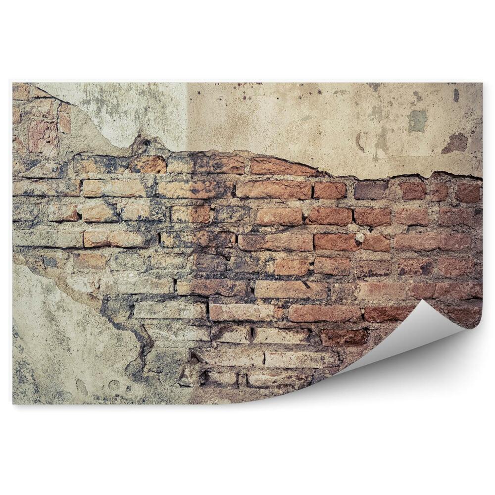 Fototapeta samoprzylepna Pękniecie w starym otynkowanym murze