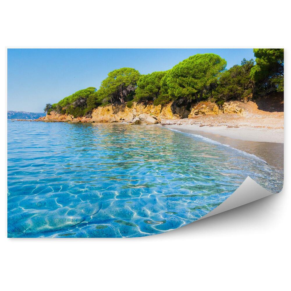 Fototapeta Korsyka ocean piaszczysta plaża drzewa rośliny wyspy