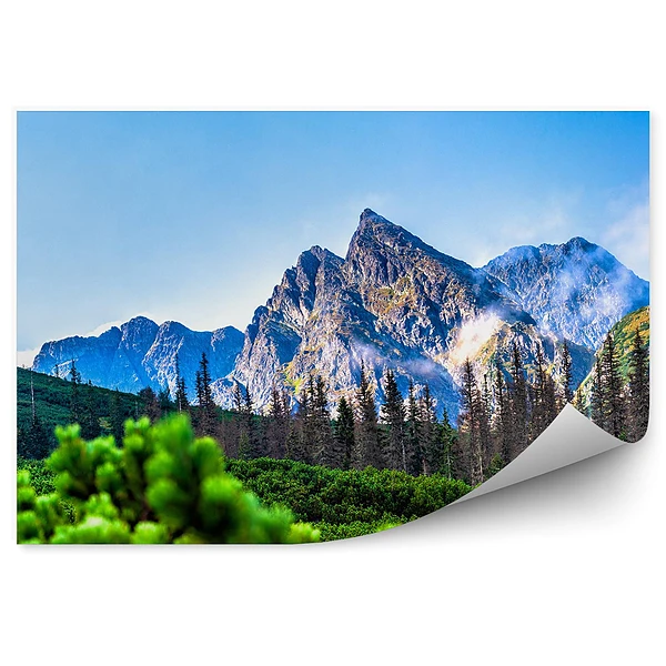Okleina ścienna Tatry drzewa iglaste góry niebo chmury natura
