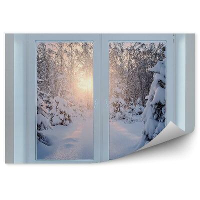 Fototapeta Zimowy las okno