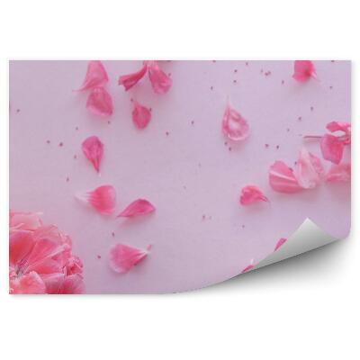 Fototapeta na ścianę Hortensje różowe róże kwiaty tło