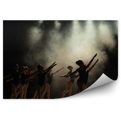 Fototapeta na ścianę Klasa baletowa na scenie mgła