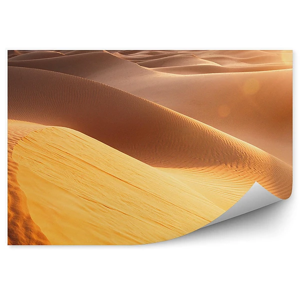 Fototapeta Wydmy sahara afryka piasek