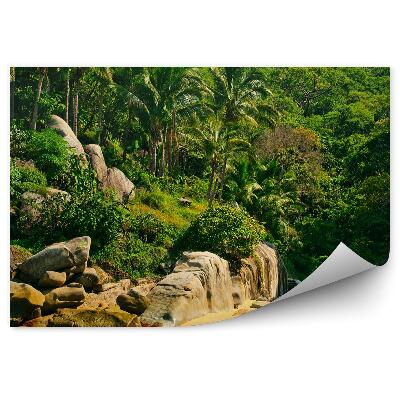 Okleina ścienna Meksyk plaża palmy skały natura roślinność