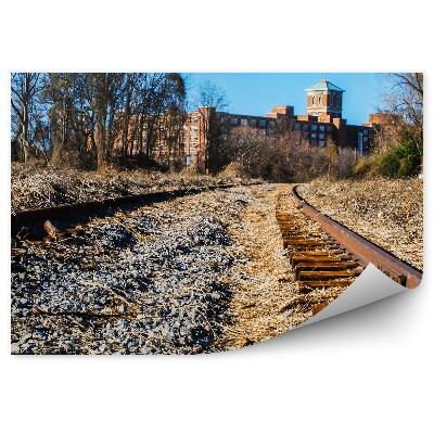 Okleina na ścianę Zniszczone tory kolejowe kamienie trawa miasto