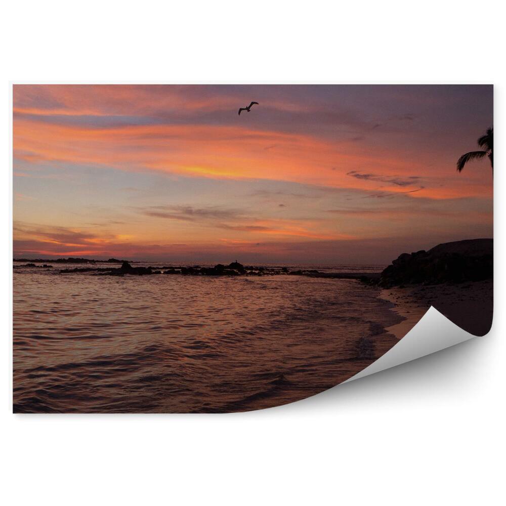 Fototapeta Zachód słońca plaża palmy ocean ptaki tropik