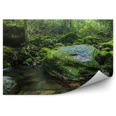 Okleina ścienna Las woda natura mech