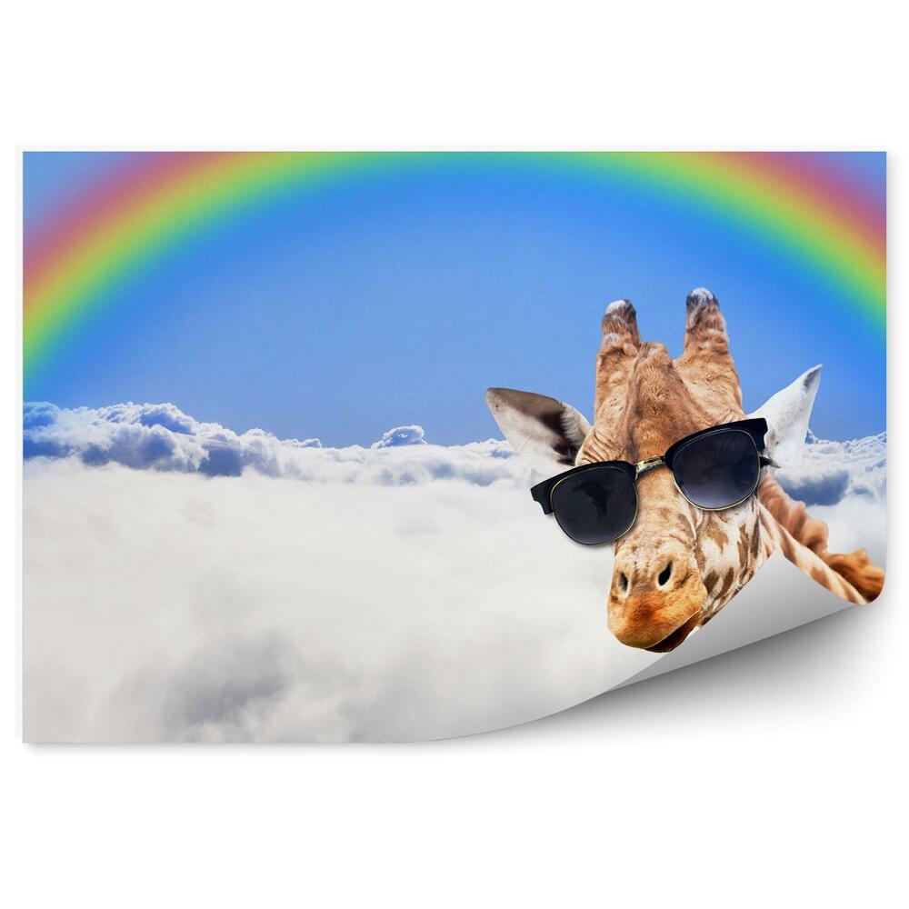 Okleina ścienna Głowa żyrafy okulary niebo chmury tęcza