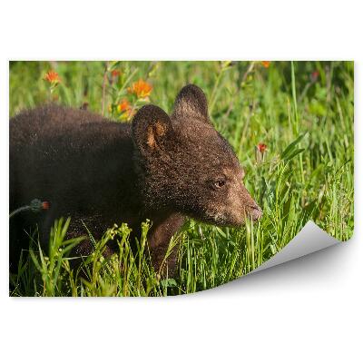 Okleina ścienna Niedźwiadek na łące i kwiaty